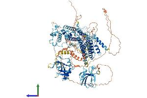 AlphaFold protein structure predicition of Mouse Recombinant Radil Protein, UniprotID Q69Z89