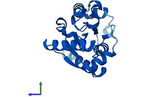 AlphaFold protein structure predicition of Mouse Recombinant Nmrk2 Protein, UniprotID Q9D7C9