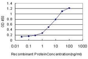 Detection limit for recombinant GST tagged MSR1 is approximately 0. (Macrophage Scavenger Receptor 1 anticorps  (AA 121-220))