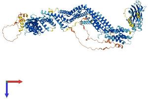 AlphaFold protein structure predicition of Human Recombinant BAIAP3 Protein, UniprotID O94812