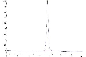 The purity of Mouse BST2 is greater than 95 % as determined by SEC-HPLC.