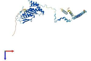 AlphaFold protein structure predicition of Mouse Recombinant Krr1 Protein, UniprotID Q8BGA5
