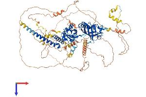 AlphaFold protein structure predicition of Human Recombinant EPAS1 Protein, UniprotID Q99814