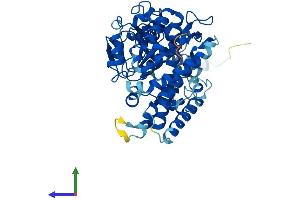 AlphaFold protein structure predicition of Human Recombinant CYP3A43 Protein, UniprotID Q9HB55