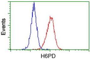 Flow cytometric Analysis of Hela cells, using anti-H6PD antibody (ABIN2453103), (Red), compared to a nonspecific negative control antibody (TA50011), (Blue). (Glucose-6-Phosphate Dehydrogenase anticorps)