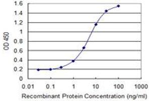 Detection limit for recombinant GST tagged SCEL is 0.