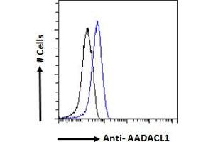 ABIN238671 Flow cytometric analysis of paraformaldehyde fixed A431 cells (blue line), permeabilized with 0.