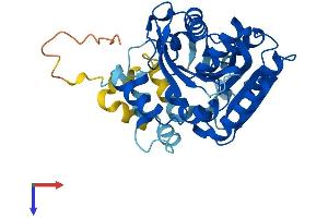 AlphaFold protein structure predicition of Mouse Recombinant Abhd4 Protein, UniprotID Q8VD66