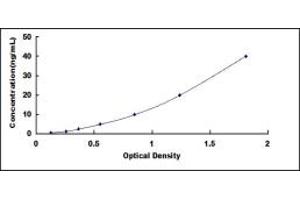 Typical standard curve (Flotillin 2 Kit ELISA)