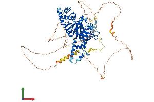 AlphaFold protein structure predicition of Mouse Recombinant Rmi1 Protein, UniprotID Q9D4G9