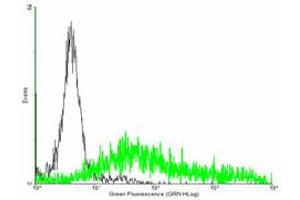 FACS analysis of negative control 293 cells (Black) and EDA2R expressing 293 cells (Green) using EDA2R purified MaxPab mouse polyclonal antibody.