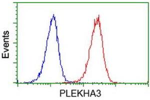 Flow cytometric Analysis of Jurkat cells, using anti-PLEKHA3 antibody (ABIN2454556), (Red), compared to a nonspecific negative control antibody, (Blue). (PLEKHA3 anticorps)