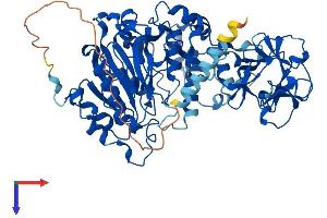 AlphaFold protein structure predicition of Mouse Recombinant Galnt2 Protein, UniprotID Q6PB93