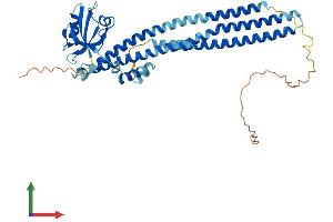 AlphaFold protein structure predicition of Mouse Recombinant Pick1 Protein, UniprotID Q62083