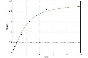 Bone Morphogenetic Protein 10 (BMP10) ELISA Kit
