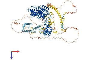 AlphaFold protein structure predicition of Mouse Recombinant Exosc10 Protein, UniprotID P56960