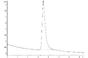 The purity of Human BCMA Trimer is greater than 95 % as determined by SEC-HPLC.