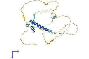AlphaFold protein structure predicition of Human Recombinant MSX1 Protein, UniprotID P28360