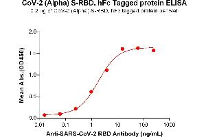 ELISA plate pre-coated by 2 μg/mL (100 μL/well) SARS-CoV-2 (Alpha) S protein RBD, hFc Tag (ABIN7455407, ABIN7490637 and ABIN7490638) can bind Anti-SARS-CoV-2 RBD antibody (DM55), Rabbit mAb ABIN6964063, ABIN7272681 and ABIN7289670 in a linear range of 0.