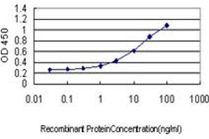 Detection limit for recombinant GST tagged HBB is approximately 0.