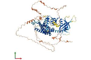 AlphaFold protein structure predicition of Human Recombinant ARHGEF19 Protein, UniprotID Q8IW93