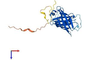 AlphaFold protein structure predicition of Mouse Recombinant Gid4 Protein, UniprotID Q9CPY6