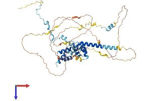 AlphaFold protein structure predicition of Human Recombinant UBAP1 Protein, UniprotID Q9NZ09