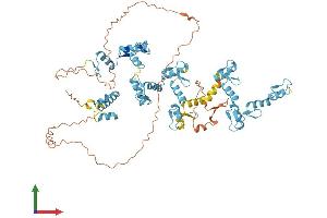 AlphaFold protein structure predicition of Human Recombinant ZNF334 Protein, UniprotID Q9HCZ1