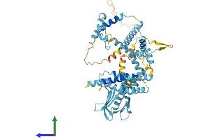 AlphaFold protein structure predicition of Human Recombinant GTF2H1 Protein, UniprotID P32780