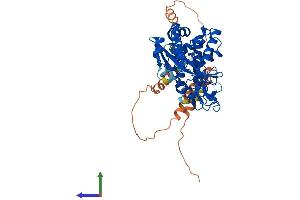 AlphaFold protein structure predicition of Human Recombinant MIEF1 Protein, UniprotID Q9NQG6