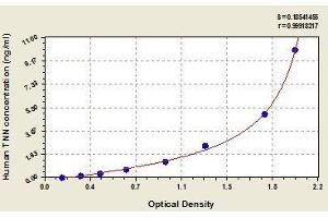 Typical standard curve (Tenascin N Kit ELISA)