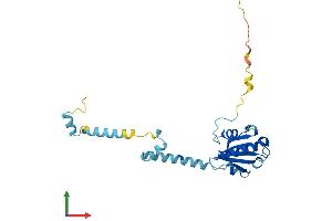 AlphaFold protein structure predicition of Mouse Recombinant Pdcl3 Protein, UniprotID Q8BVF2