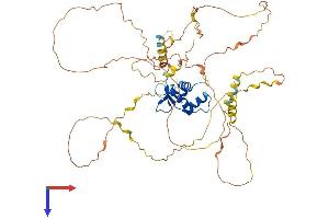 AlphaFold protein structure predicition of Human Recombinant ERF Protein, UniprotID P50548