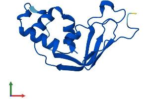 AlphaFold protein structure predicition of Mouse Recombinant Trmt112 Protein, UniprotID Q9DCG9