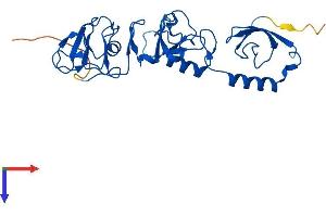 AlphaFold protein structure predicition of Human Recombinant RCHY1 Protein, UniprotID Q96PM5