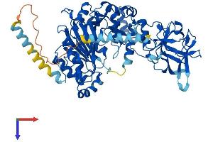 AlphaFold protein structure predicition of Human Recombinant GALNT17 Protein, UniprotID Q6IS24