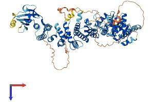 AlphaFold protein structure predicition of Mouse Recombinant Cmip Protein, UniprotID Q9D486