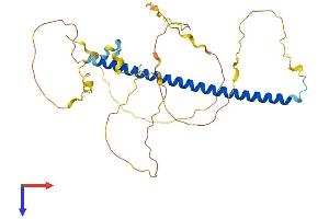 AlphaFold protein structure predicition of Human Recombinant FOSL2 Protein, UniprotID P15408