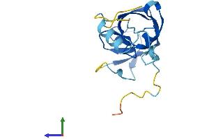 AlphaFold protein structure predicition of Human Recombinant ERVK-10 Protein, UniprotID P10265