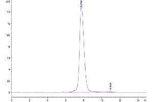 Size-exclusion chromatography-High Pressure Liquid Chromatography (SEC-HPLC) image for SARS-CoV-2 Spike S1 (BA.4 - Omicron), (BA.5 - Omicron) protein (His tag) (ABIN7273920)