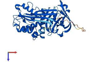 AlphaFold protein structure predicition of Mouse Recombinant Serpinb1a Protein, UniprotID Q9D154
