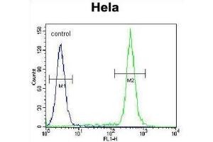 Flow Cytometry (FACS) image for anti-T-Box 6 (TBX6) antibody (ABIN2996310)
