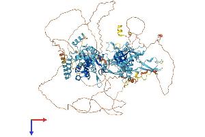 AlphaFold protein structure predicition of Mouse Recombinant Mcm9 Protein, UniprotID Q2KHI9