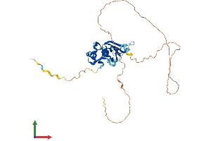 AlphaFold protein structure predicition of Mouse Recombinant Hnrnpa3 Protein, UniprotID Q8BG05