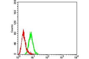 Flow cytometric analysis of HL-60 cells using CD158E1 mouse mAb (green) and negative control (red).