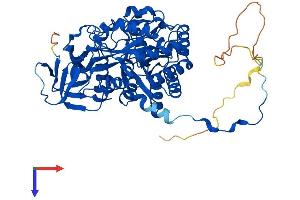 AlphaFold protein structure predicition of Human Recombinant DPYSL5 Protein, UniprotID Q9BPU6