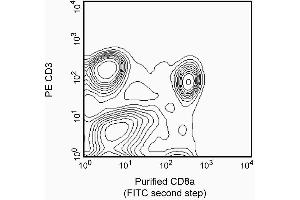 Stained with purified mAb OX-8