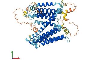 AlphaFold protein structure predicition of Mouse Recombinant Serinc3 Protein, UniprotID Q9QZI9