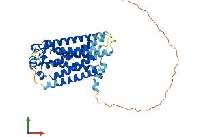 AlphaFold protein structure predicition of Human Recombinant S1PR2 Protein, UniprotID O95136