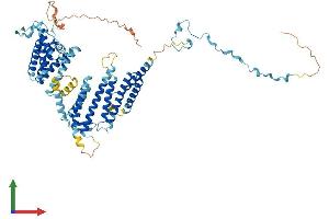 AlphaFold protein structure predicition of Mouse Recombinant Srp68 Protein, UniprotID Q8BMA6